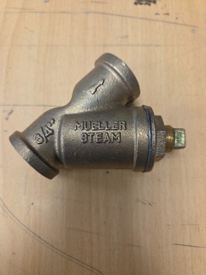 Muller Steam Y Strainer, 3/4''