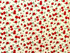 Liberty Tana Lawn *Nina* Last FQ.