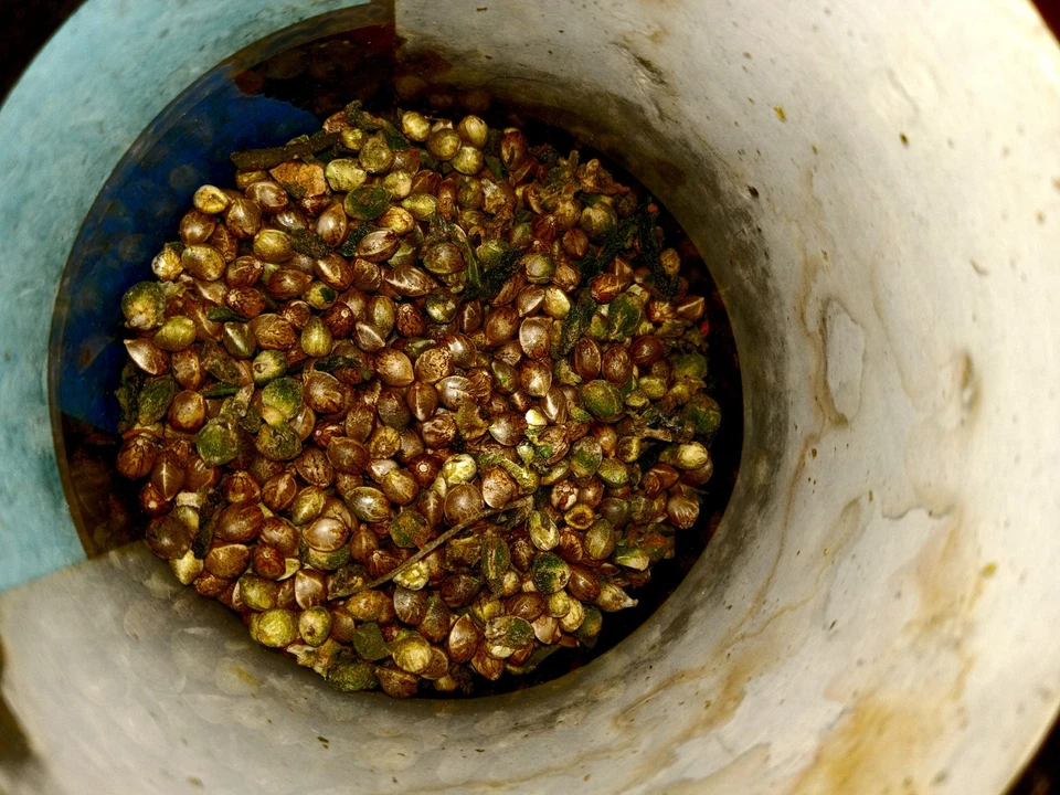 4oz STS/ Silver Thiosulfate  Spray-Please Read Description - Image 2 of 3