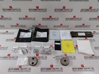 CAMERON 307670-11-99 Plate-inlet & Plate-outlet Seal, For 3/4  Valve Repair Kit