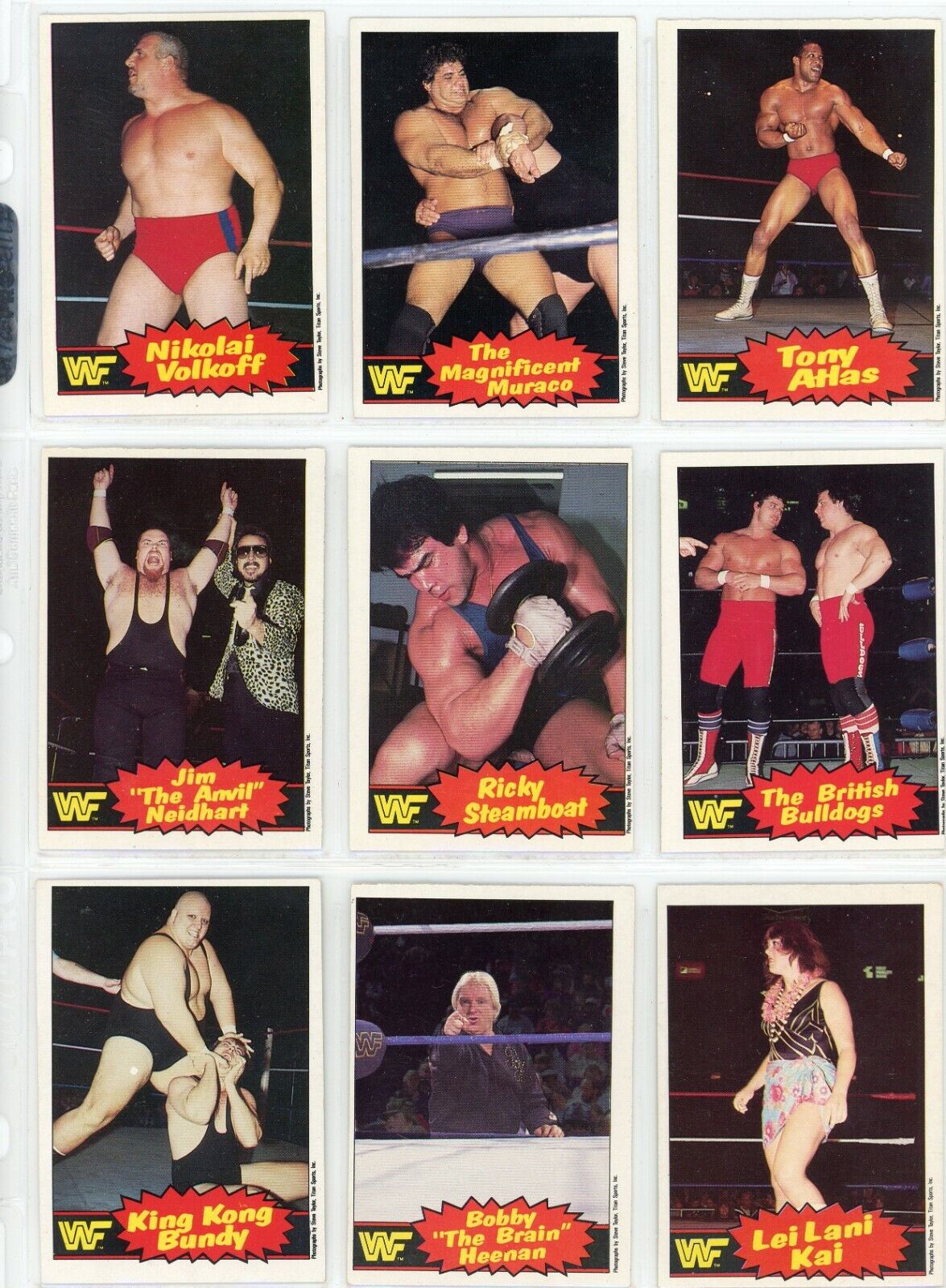 1985 OPC O-Pee-Chee WWF WWE Series 2 Wrestling Cards Complete Your Set U  Pick