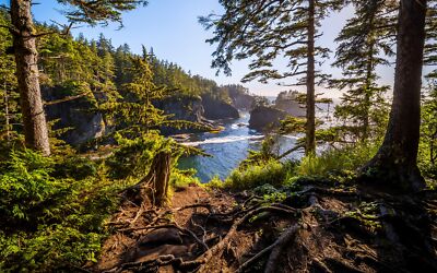 Anime nature coast sea trees rocks sky usa washington Play Gaming Mat Desk