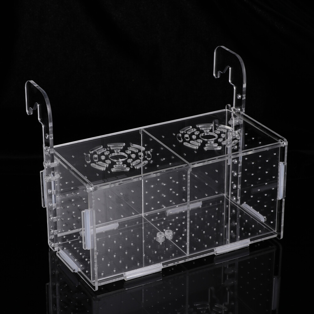 Cajas de incubación acrílico acuario tanque soporte para peces araña saltadora incubadora freír