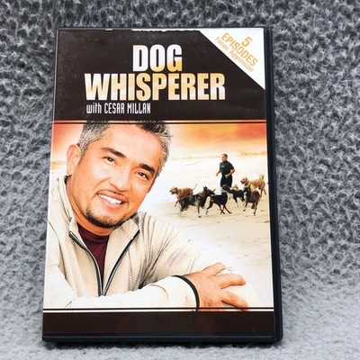 Dog Whisperer with Cesar Millan DVD 2006 Focus: Aggression 5 Episodes