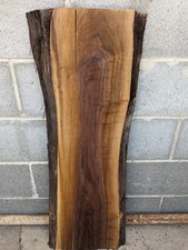 Black Walnut Slab Live Edge  thick slab NICE