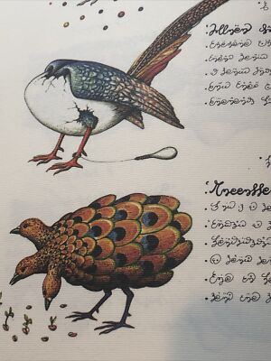 Luigi Serafini Codex Seraphinianus Print 90A 13