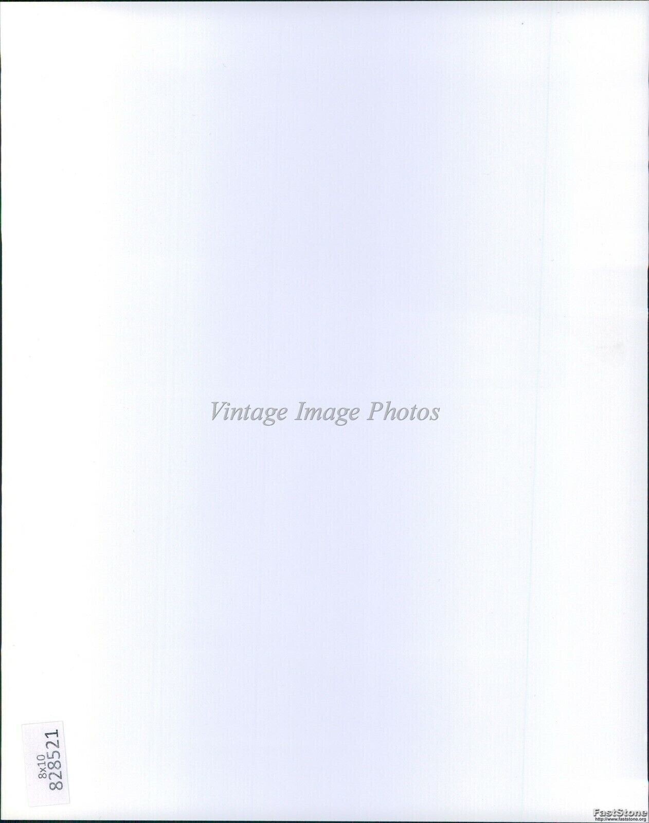 2001 The Mexican Julia Roberts Brad Pitt James Gandolfini Actor 8X10