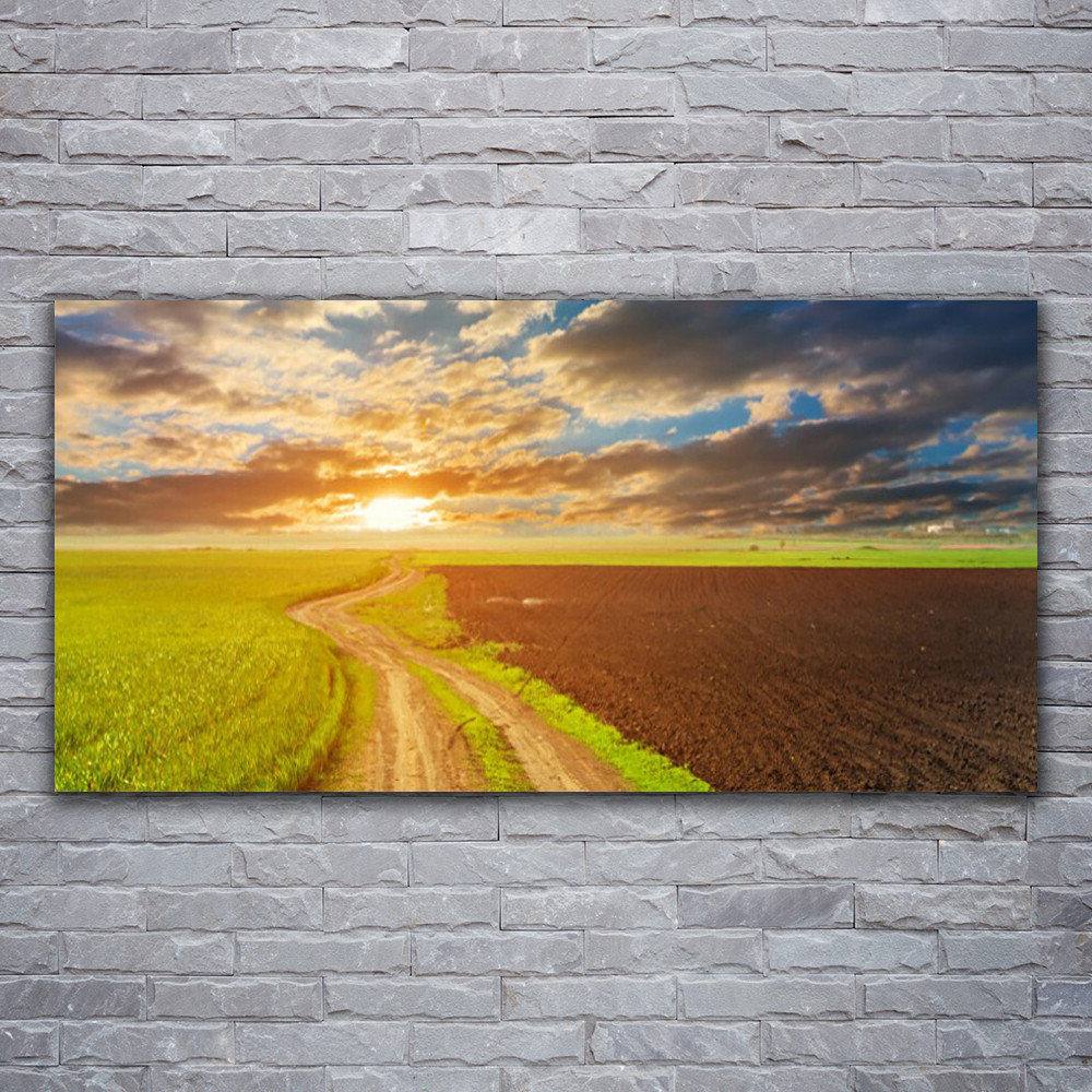 Impression sur plexiglas haut de gamme Tulup Sentier Champ 120x60