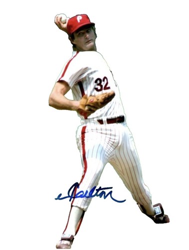 1973 St. Louis Cardinals Yearbook Brock Gibson Carlton MLB HOF | eBay