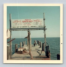 Vintage Color Photo Tony's Charter Boats Shark Catch Pier Fishing 3.5x3.5