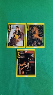 1991 Pacific Bingo Movie (3) #104 Our Humble Hero #29 & #80 Gotcha!