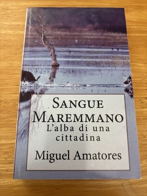 L'alba Di Una Cittadina, Paperback by Amadori, Michele Good Condition