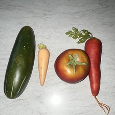 Pretend Play Food / Wood/Vegetables Set of 4 Multicolor Cucumber Carrots Tomato