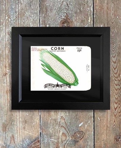 Vintage Unused Seed packets in a hand made framed vegetable Lone Star American - Picture 88 of 95