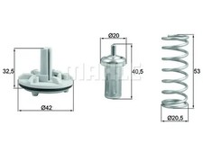 Thermostat Audi 60