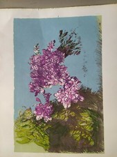 Disegno Quadro Litografia Giancarlo Cazzaniga Il Glicine 50x 60 Pittura Pittore