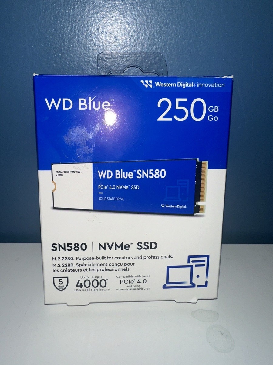 3d Nand Wd Ssd 250gb Price Ssd 250gb Laptop Hard Disk Price WD