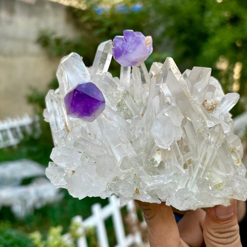 2.2LB Natural Transparent Chrysanthemum crystal Cluster with Amethyst Specimen - 第 11/15 張圖片