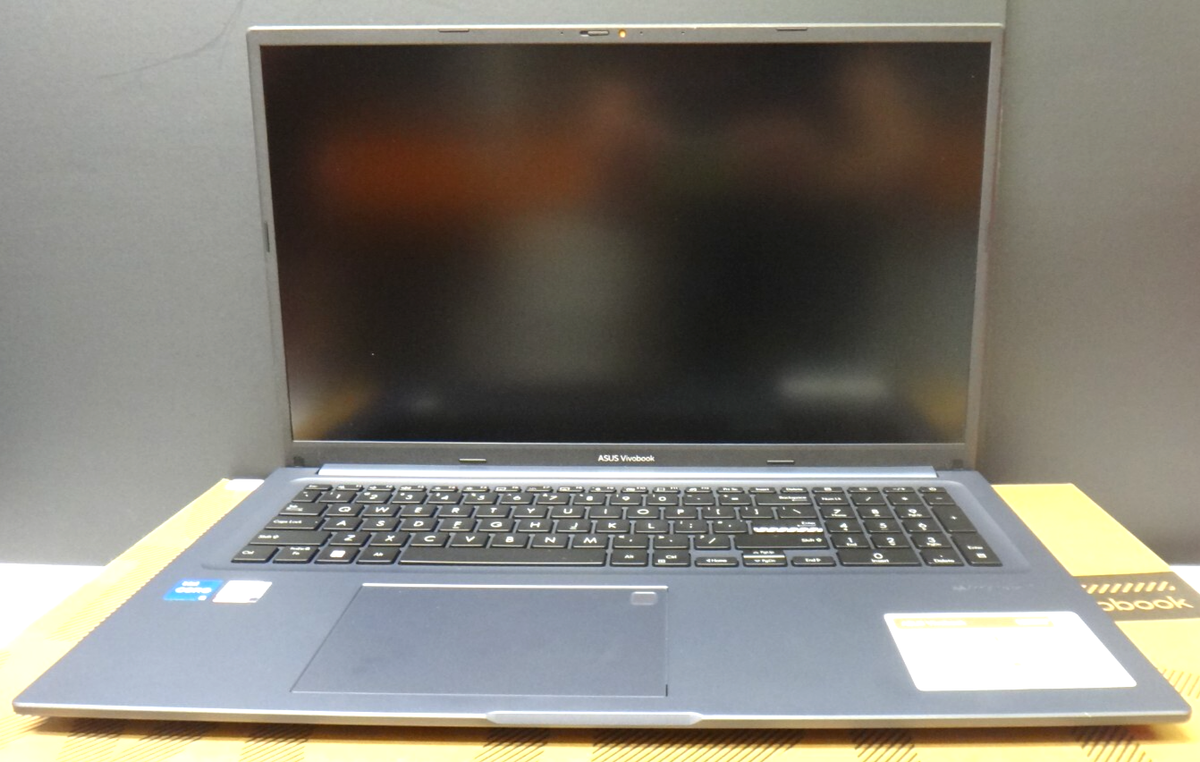 ASUS VivoBook 17X 256GB SSD Intel Core i5-12500 12GB RAM Laptop  Window 11