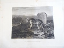LANDSEER (1802-1873) LITHO XIX° MORT BERGER CHIEN TOMBE FIDELITE ROMANTISME