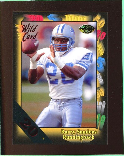 Barry Sanders [20 Stripe] #89 1991 Wild Card card