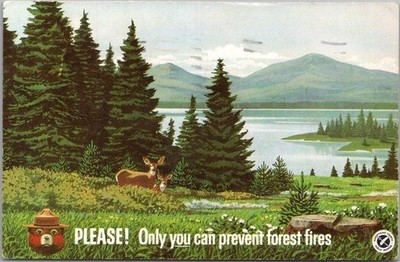 SMOKEY BEAR Fire Prevention Advertising Postcard w/ 1968 HOUSTON Texas Cancel