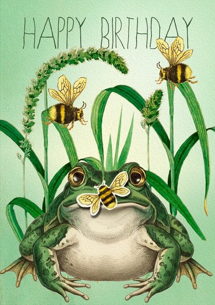Toad -Art Blank Greeting / Birthday Card  Pop Up Bee Frog Vintage Madame Treacle