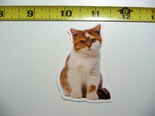 YEAH I'M CAT SMALL STICKER DECAL FELINE PET HOUSE KITTEN FUNNY