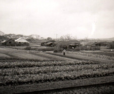 C.1950 FARM LANDS, FARMER, HONG KONG CHINA SNAPSHOT PHOTO F1