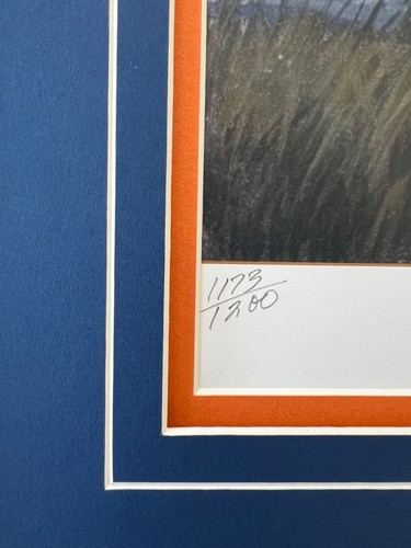 Florida Gators Signed By 3 MVP’s Custom Framed National Championship Print - Picture 19 of 23