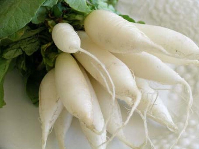 Rábano alrgado daikon blanco hielo 200 semillas - seeds - huerto