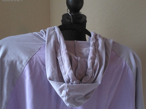JL SUNFLOWER PURPLE TUESDAY HOODIE SIZE XL ROGER HARGREAVEO - Picture 5 of 5