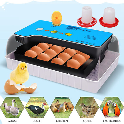 12 Egg Incubator Automatic Chicken Quail Hatcher Eggs For Hatching Incubators