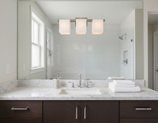 Trans Globe Lighting 22173 Bathroom Vanity Light Brushed Nickel Finish