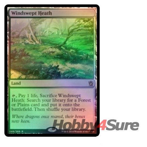 Foil Windswept Heath M/NM Magic: The Gathering MTG Khans Of Tarkir - Picture 1 of 1