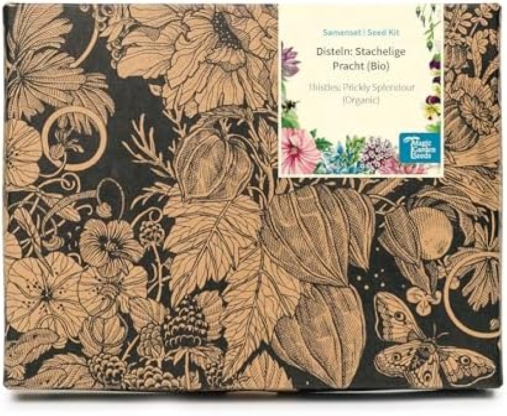 Cardi: bellezza spinosa (bio) - set di semi con 4 belle varietÃ  di cardo selvat