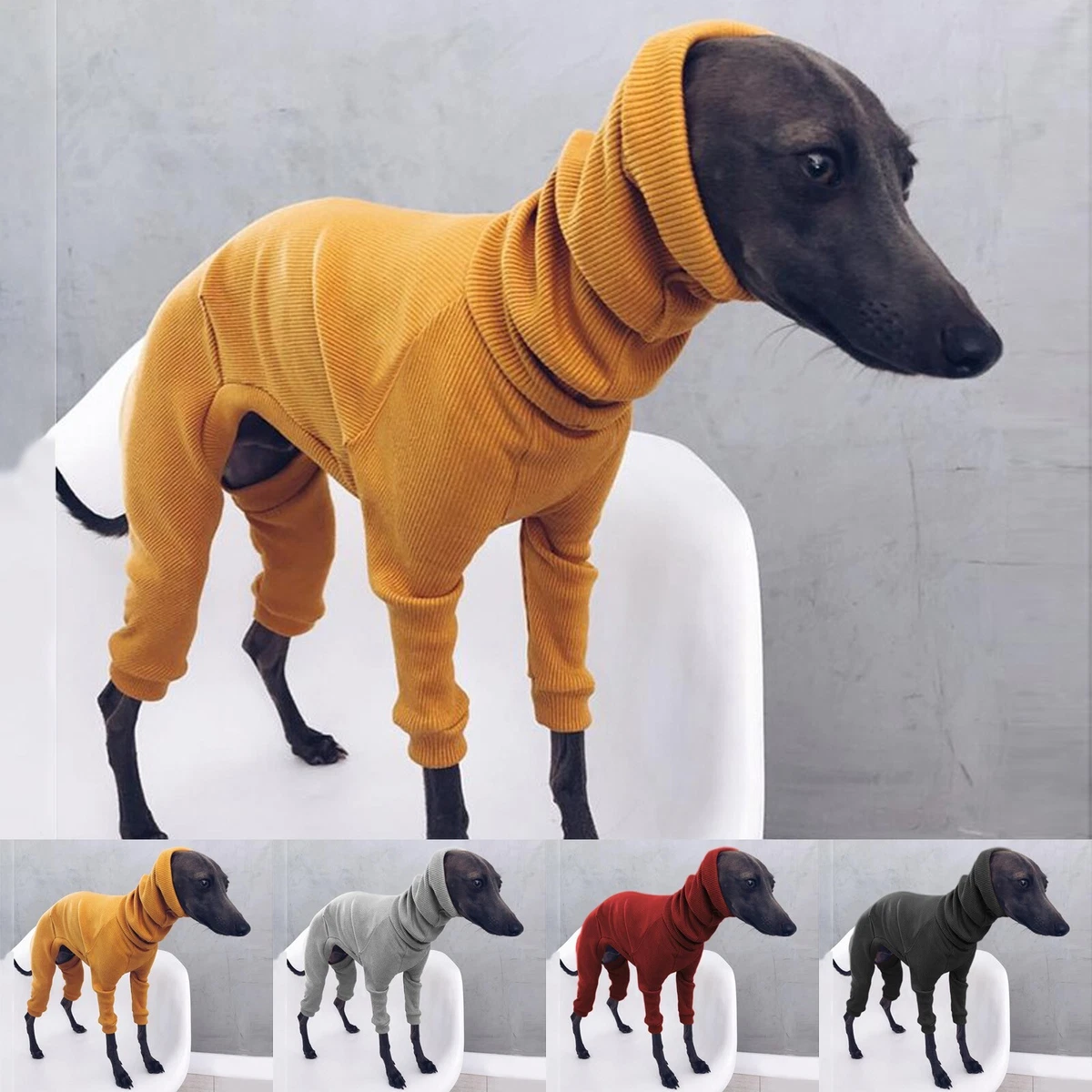 Long dog clothing cheap