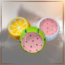 Cat Plate Ceramic Cat Food Dish Cat Bowl - Summer Fruits - Awesome Cat Dish