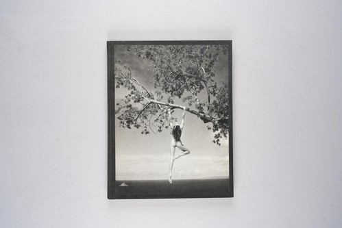 Patrick Demarchelier Photographs: A Henry Horenstein Book Rare 1996 Edition - Imagen 1 de 9