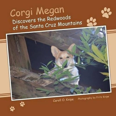 Corgi Megan Discovers the Redwoods of the Santa Cruz Mountains by Dr Caroll O. K