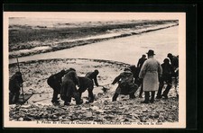 CPA Versailleux, Pêche de l´Etang de Chapelier, on tire le filet 