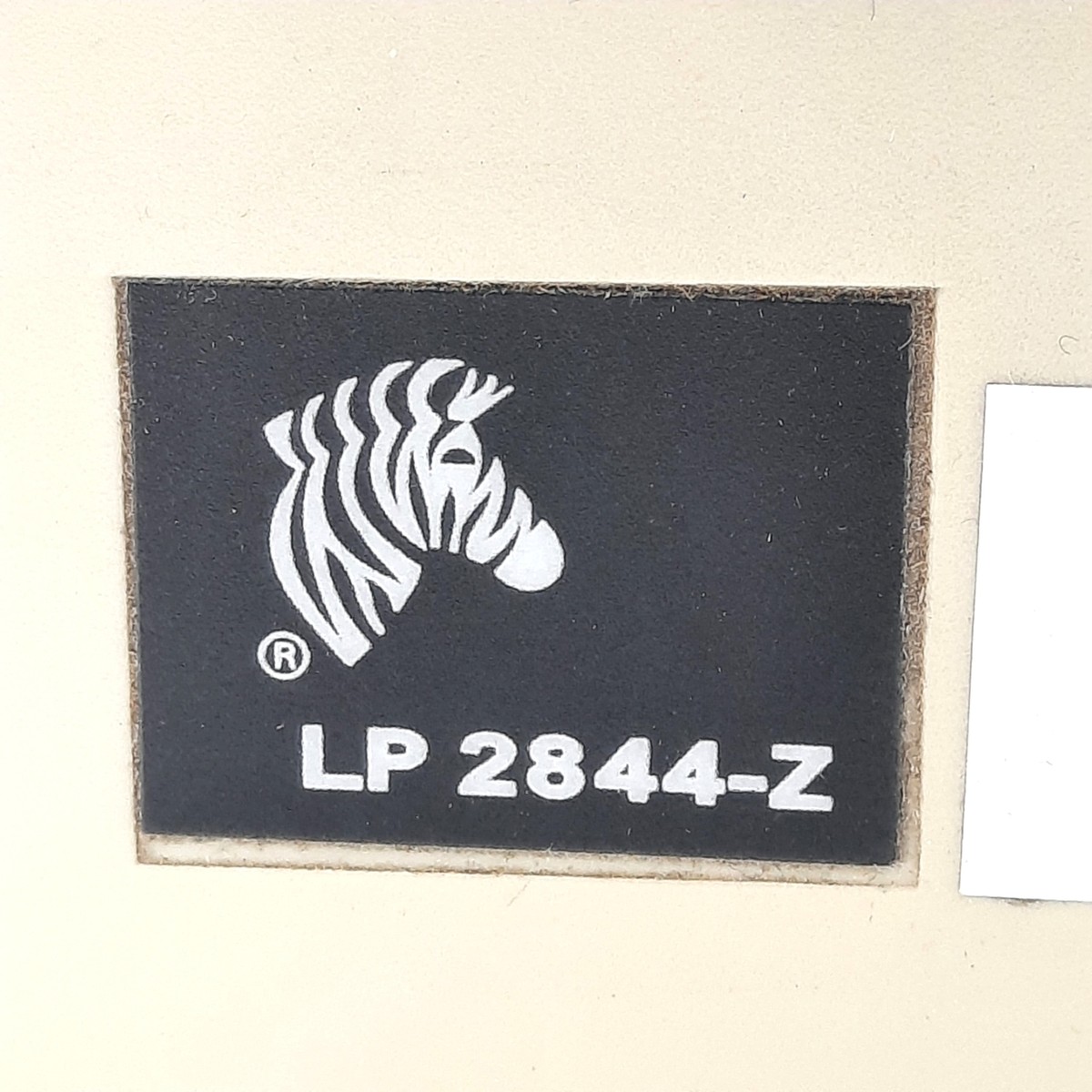 ヤマシタ YAMASHITA（ヤマシタ） ヤマシタ(YAMASITA) エギ王LIVE 3号