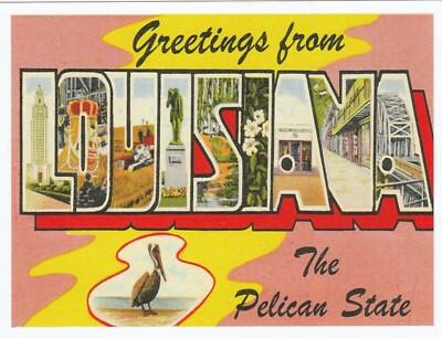 *Louisiana Postcard-''...Greetings From Louisiana''...-The Pelican State- {*TW-3}