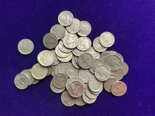 61 Buffalo Nickels Lot - Mixed Dates  Circulated US Coins
