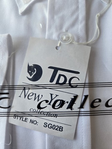 Mens' Mandarin Collar (Banded Collar) Dress Shirt by TDC Collection - Picture 3 of 5