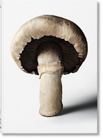 The Gourmand's Mushroom A Collection Of Stories And Recipes