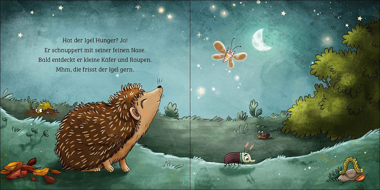 Thumbnail - Sandra Grimm Mein Erstes Naturbuch - Der Igel 9783743213159