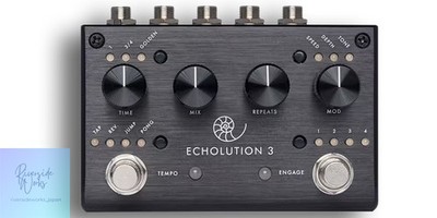 PIGTRONIX Echolution 3 Delay Pedal