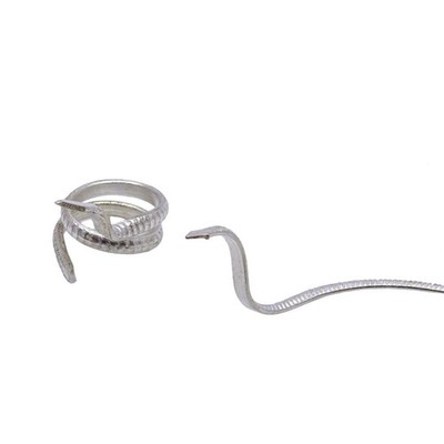 Naag Nagin Joda To Remove Ill Effect Of Kaal Sap Dosh Silver Plated Energized