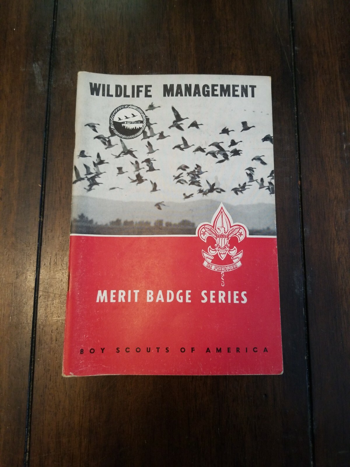 Vintage Boy Scouts of America BSA Merit Badge Series pamphlet | eBay